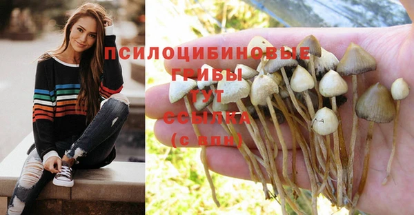 mdma Михайловка
