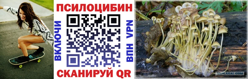 Галлюциногенные грибы прущие грибы  Чехов 